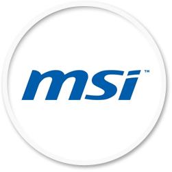 MSI